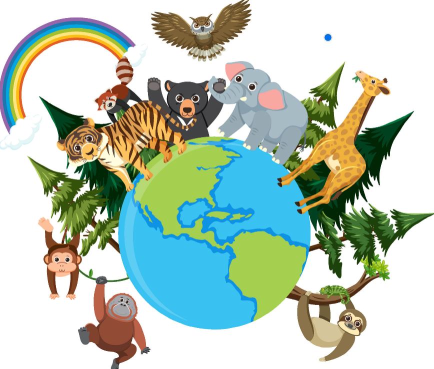 Support animal protection in the USA, thank you for your kindness!🐘🦅🦁🐒🐨
