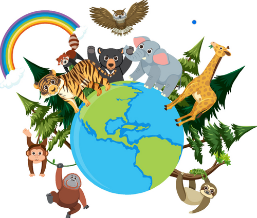 Support animal protection in the USA, thank you for your kindness!🐘🦅🦁🐒🐨